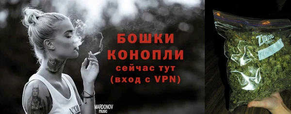 соль ск Арсеньев