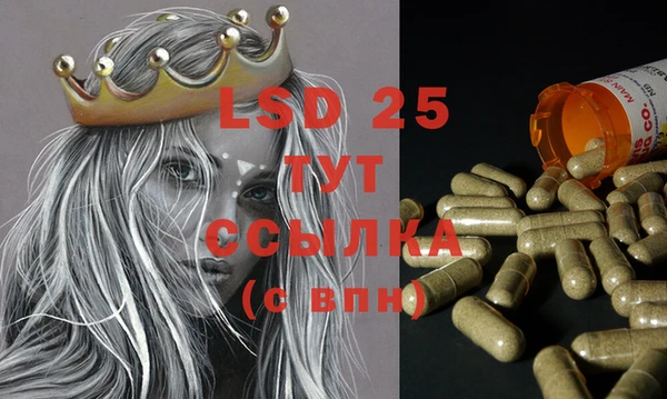 ECSTASY Новодвинск
