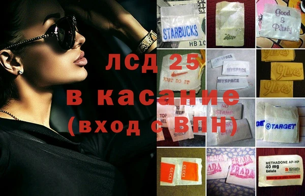 прущие грибы Новокубанск