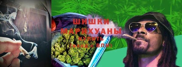 соль ск Арсеньев