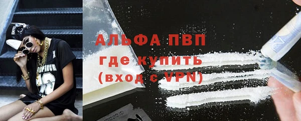 прущие грибы Новокубанск
