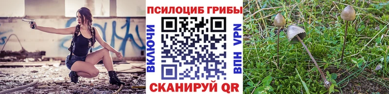 Галлюциногенные грибы GOLDEN TEACHER Теберда