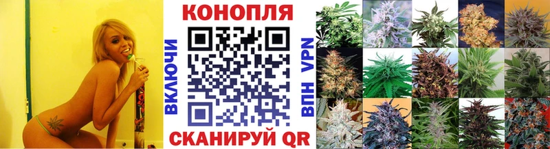 Каннабис SATIVA & INDICA  ОМГ ОМГ tor  Теберда 